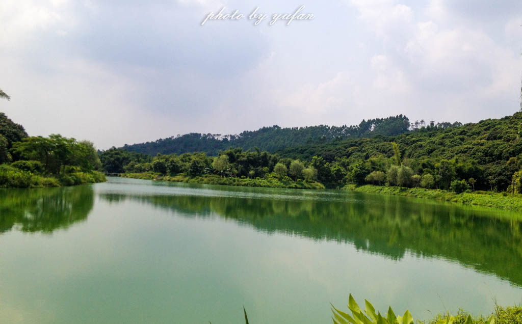 大亚湾沃尔玛吃喝玩乐,惠州大亚湾吃喝玩乐攻略