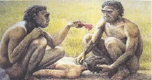 我只有28颗牙齿正常吗,一排只有14颗牙齿正常吗