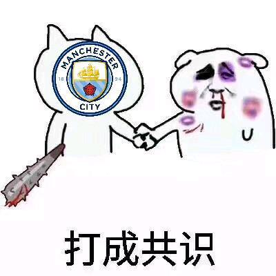 张伯伦英超首秀,英超张伯伦视频