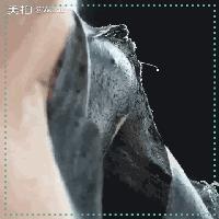 敷面膜之前怎么保养,换季时敏感肌肤可以用的保湿面膜