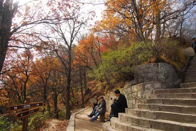 徐霞客来华山游记是哪一年,徐霞客对华山的评价