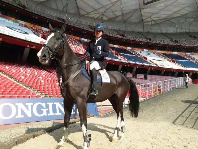 快乐骑马视频播放,快乐骑马术完整