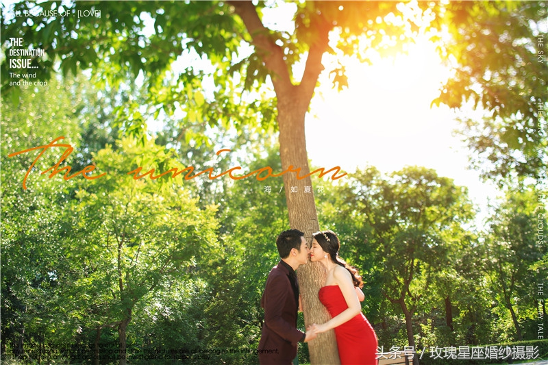 暖色系婚纱照图片摆放,暖色系婚纱照图片