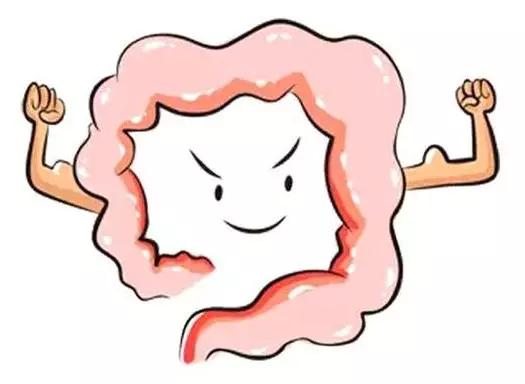 便秘能吃哪些食物,便秘者不能吃淀粉类食物吗