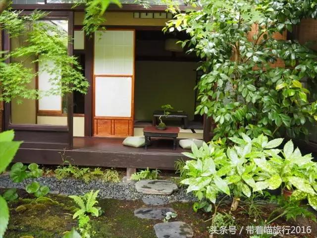 在日本最美的地方生活,在日本无拘无束做自己