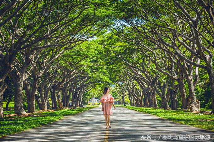 2018塞班岛旅游攻略实用篇,塞班岛七天旅游多少钱