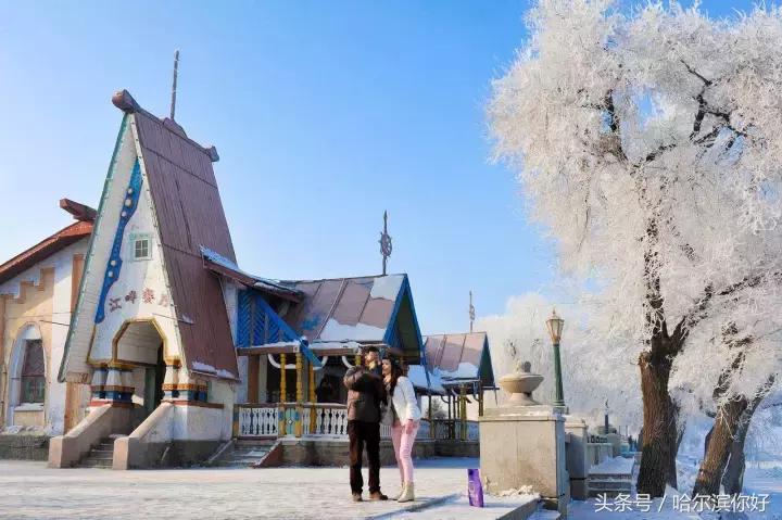 哈尔滨南岗区道里区有什么区别,哈尔滨道里区算主城区吗