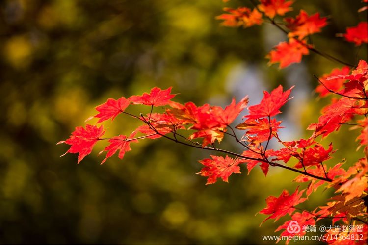 庄河天门山有哪些景观,庄河天门山全景