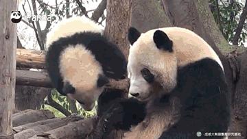 据说只要看到这双“雪地靴”，姑娘们都会挪不动脚！