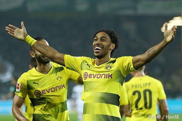 蜜蜂战斗大黄蜂,大黄蜂与蜜蜂的激烈战斗