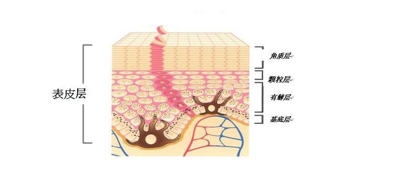 男生变白简易教程,简单三步让男生变白