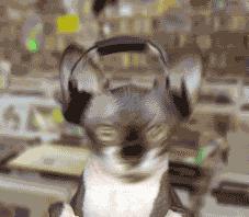 蒸汽波音乐是什么意思 (日式蒸汽波音乐艺术)