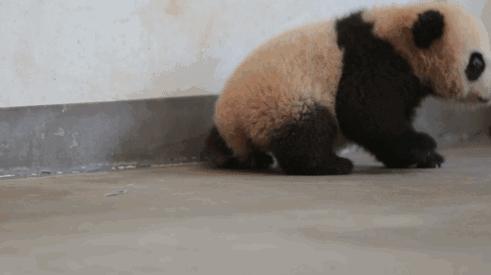 据说只要看到这双“雪地靴”，姑娘们都会挪不动脚！