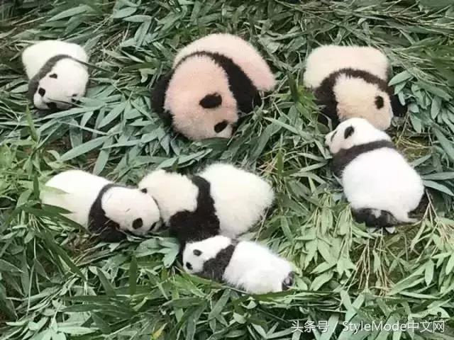 据说只要看到这双“雪地靴”，姑娘们都会挪不动脚！