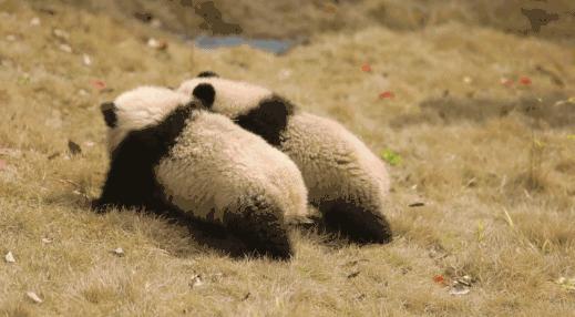 据说只要看到这双“雪地靴”，姑娘们都会挪不动脚！