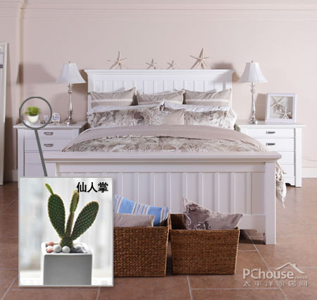 财位怎样布置最招财运,卧室财位摆放什么花最好