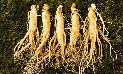 东北十大特产叫什么名字,盘点你绝对没吃过的东北特产