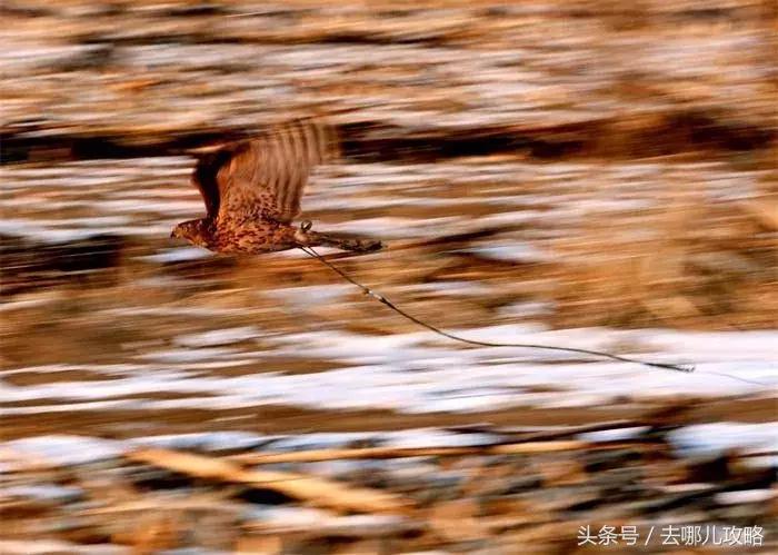 吉林长白山景区门票多少钱,吉林长白山风景区门票政策