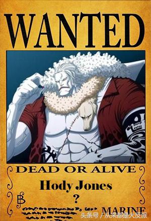 海贼王里一共出现过多少人物(四)(超新星等)