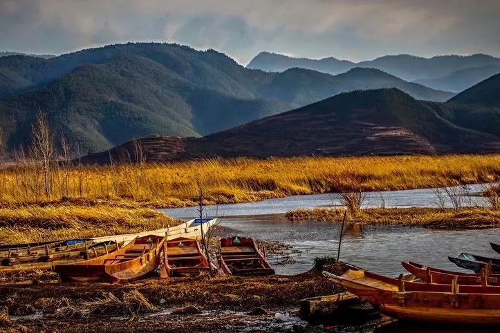 北方已经初冬了，贵州的这些地方秋意正浓，现在去正当时！