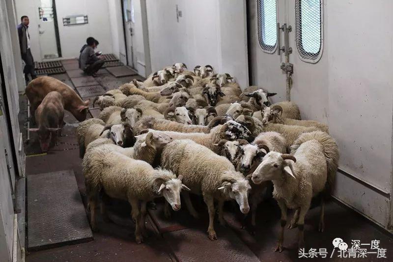 全国最便宜的火车票价,中国最豪华火车票价5万元