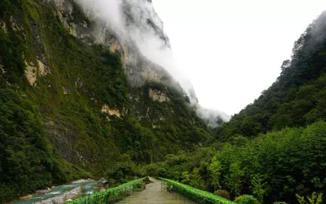 四川看红叶最佳地方自驾游,四川彩林红叶最佳观赏地点