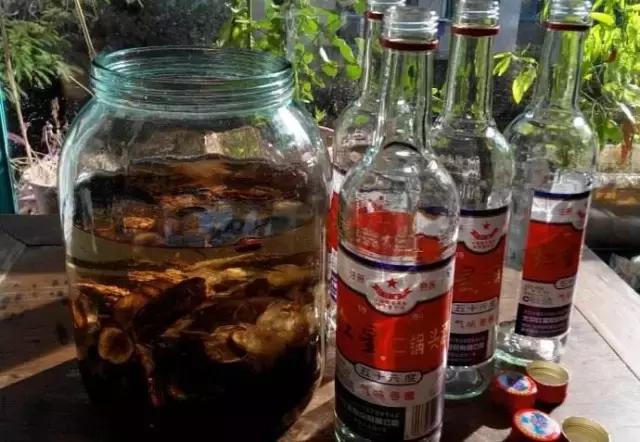自制药酒别乱喝当心药酒变毒酒,自制药酒有没有毒