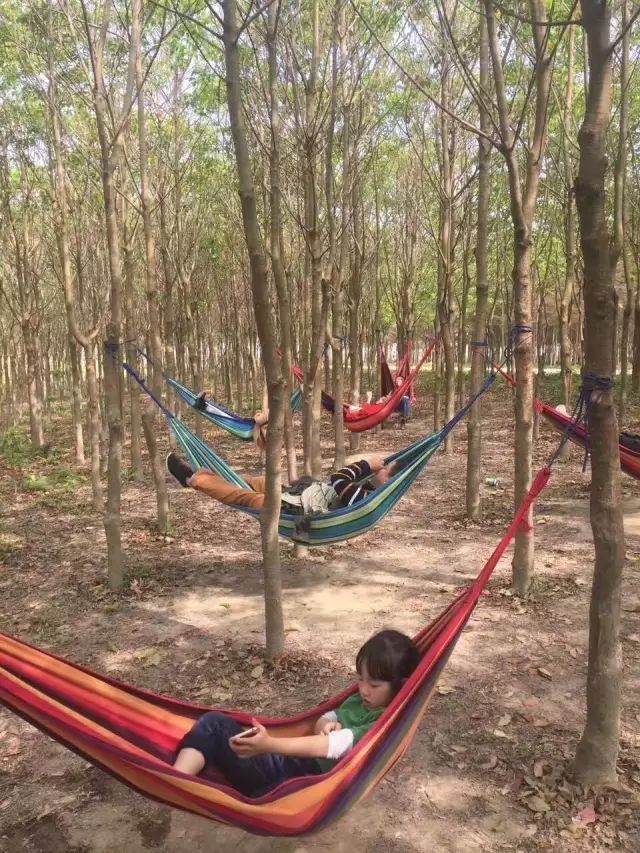 双十一｜光棍节，惠州紫溪半岛*光脱**攻略