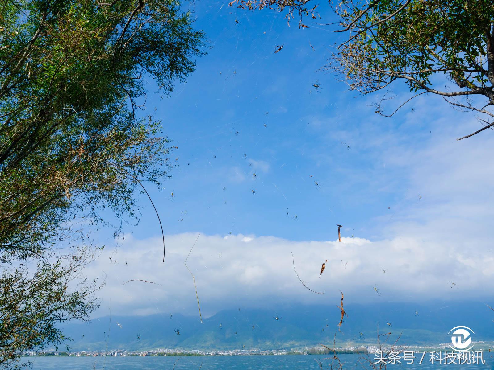 松下gh5连接大疆稳定器,松下gh5虚化