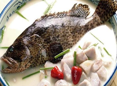 养什么鱼能赚钱又简单,适合懒人养的鱼赚钱