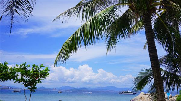 我到过许多地方是指哪里,我去过的地方皆是你看过的风景