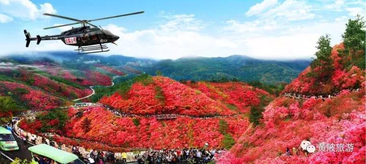 达人招募武汉,全国招募旅游达人直播