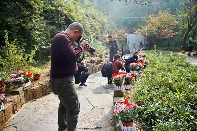 沂水地下大峡谷一日游路线,沂水大峡谷旅游感受