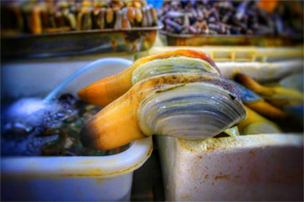 我到过许多地方是指哪里,我去过的地方皆是你看过的风景