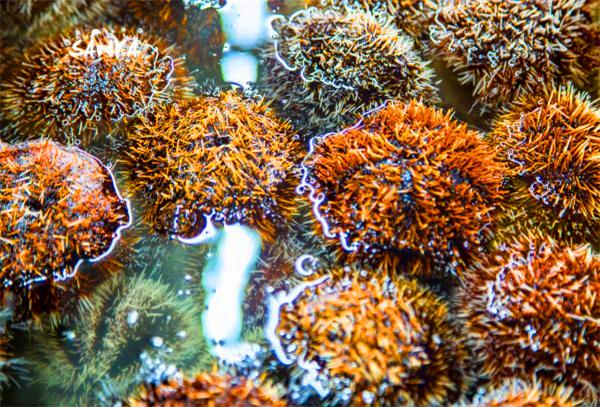 我到过许多地方是指哪里,我去过的地方皆是你看过的风景