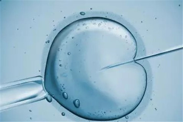 试管婴儿取完卵腹水是什么感觉,一般取完卵腹水多少不耽误移植