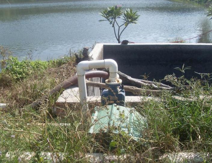 养鱼10个赚钱方法大全,农村养鱼致富技术视频