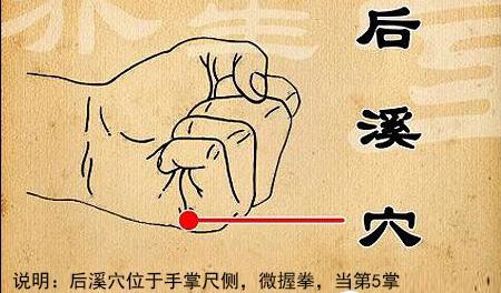 全身解毒最快的穴位,打通全身经脉的穴位