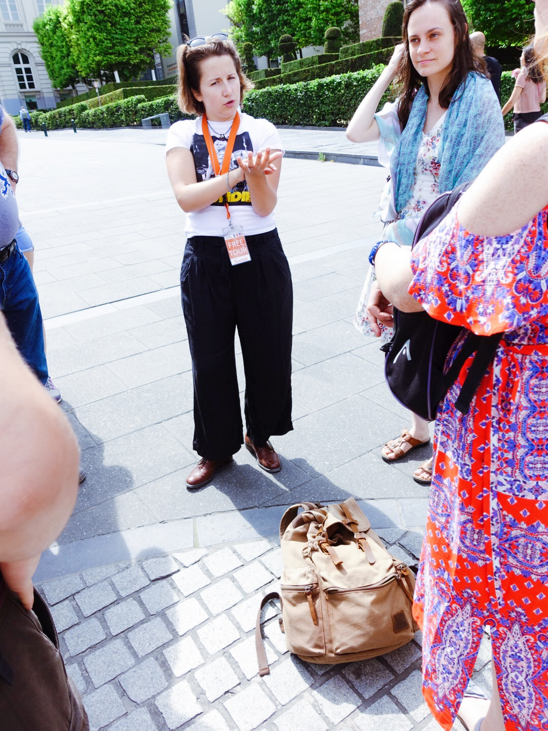 欧洲跟团游导游有什么套路 (欧洲导游收入)