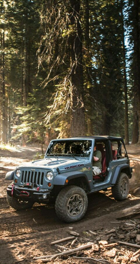 牧马人动画壁纸,高原牧马人壁纸