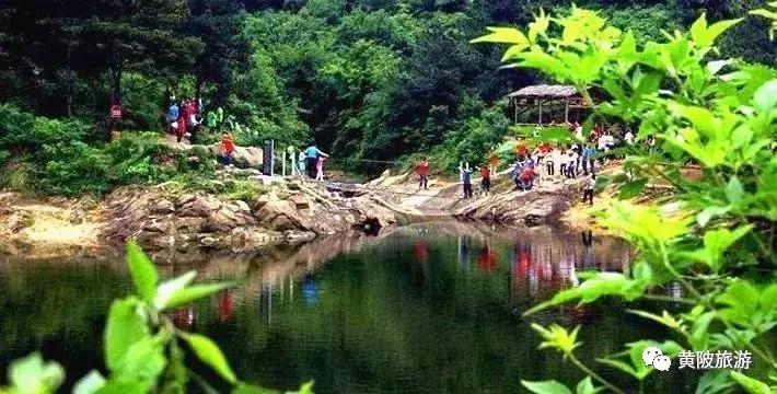 达人招募武汉,全国招募旅游达人直播