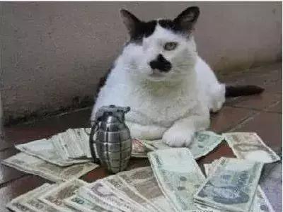 石家庄高中放假时间2022寒假通知,石家庄高校寒假放假最新通告