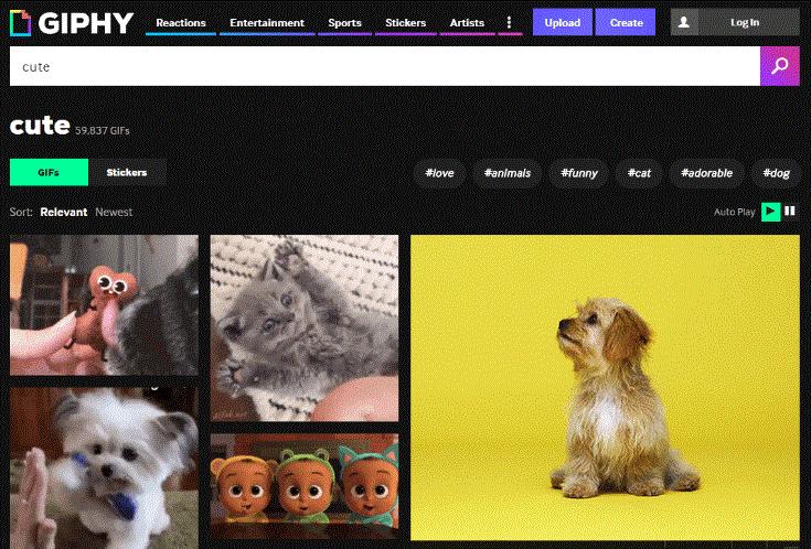 图文动图怎么制作教程,动态图的制作教程