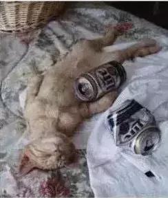 石家庄高中放假时间2022寒假通知,石家庄高校寒假放假最新通告