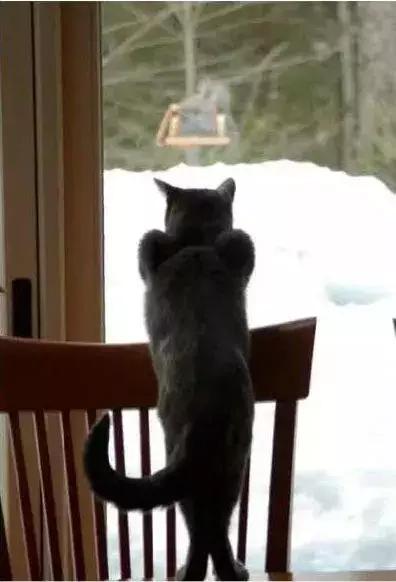 石家庄高中放假时间2022寒假通知,石家庄高校寒假放假最新通告