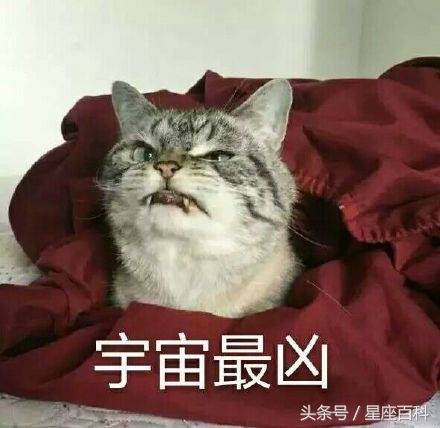 谎言最多的是什么星座,12星座的谎言