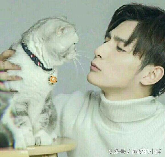 网易云热评墙NO.37