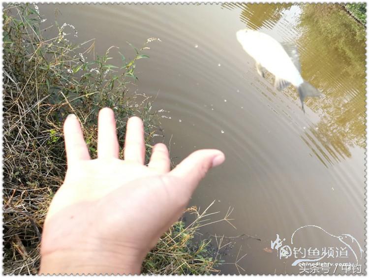 国庆节的来历,国庆头像