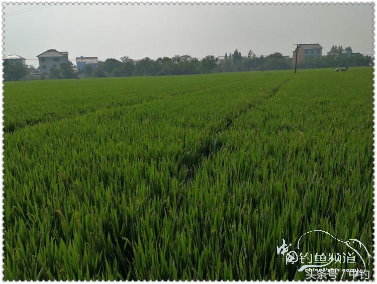 国庆节的来历,国庆头像