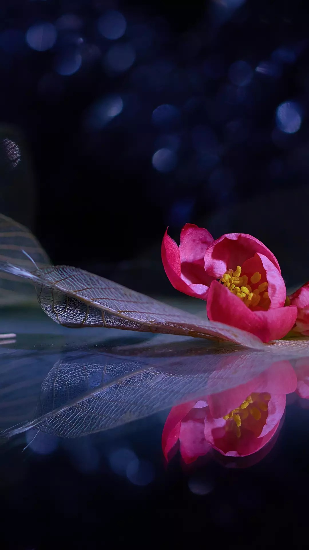 精辟犀利的超短句子,短而犀利透彻的句子